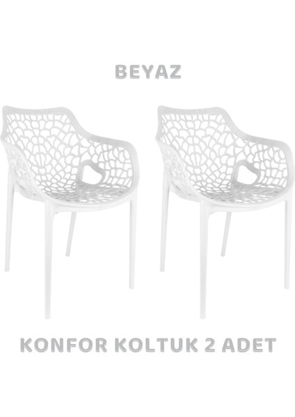 Konfor Koltuk – Cam Elyaf Takviyeli Bahçe Balkon Teras Kafe Otel Restoran Düğün Sandalye 2'li Set