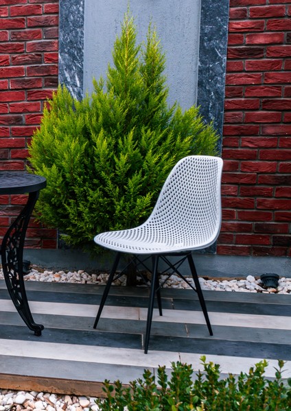 Safir Sandalye – Metal Ayaklı Modern Mutfak Kafe Restoran Ofis Sandalyesi 2'li Set fırsatları
