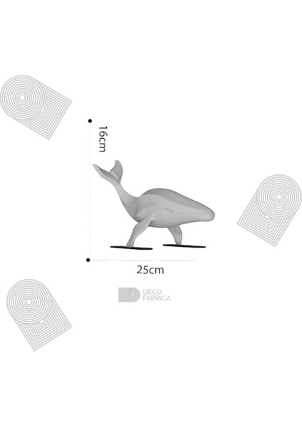 Balina Biblo modelleri