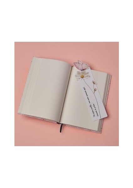 Big Plan Inside Hediye Kutusu fiyatları