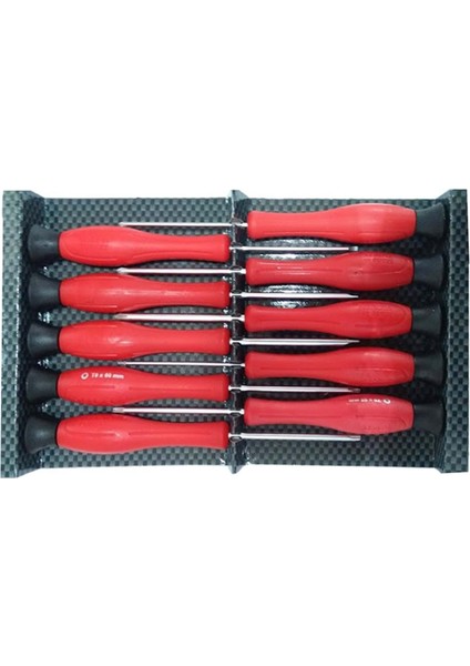 Saatçi Tornavida Seti 10 Parça