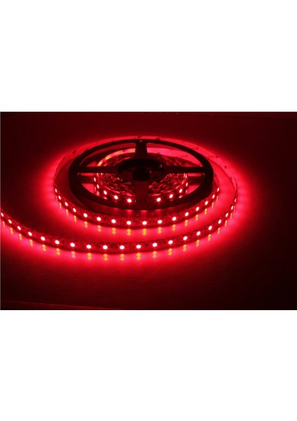 Kırmızı LED Şerit 5 mt