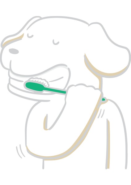 3'lü Doğal Ağız Bakım Seti