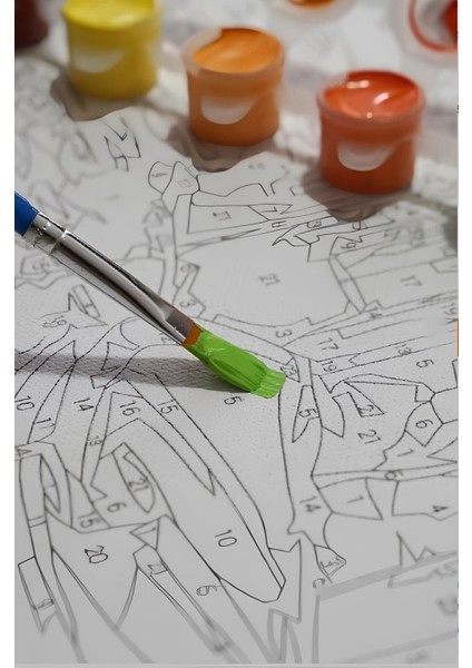 Sayılarla Boyama Seti Numaralı Tuval Fırça Boya Dahil Kasnaklı Set 50X70 cm - Desenli At modelleri