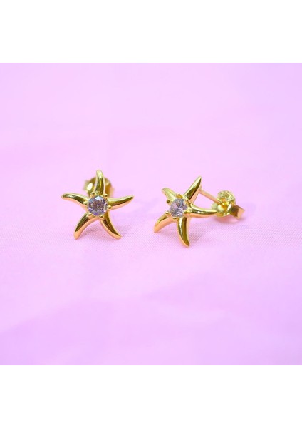 Gümüş Küpe - Kadın Yuvarlak Zirkon Taşlı Deniz Yıldızı 925 Ayar Gümüş Küpe