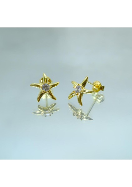 Gümüş Küpe - Kadın Yuvarlak Zirkon Taşlı Deniz Yıldızı 925 Ayar Gümüş Küpe fiyatları