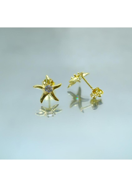 Gümüş Küpe - Kadın Yuvarlak Zirkon Taşlı Deniz Yıldızı 925 Ayar Gümüş Küpe modelleri