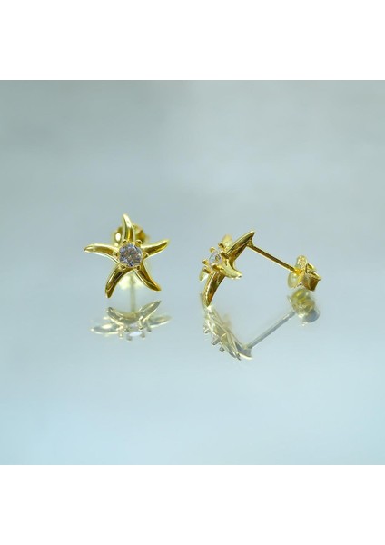 Gümüş Küpe - Kadın Yuvarlak Zirkon Taşlı Deniz Yıldızı 925 Ayar Gümüş Küpe fırsatları