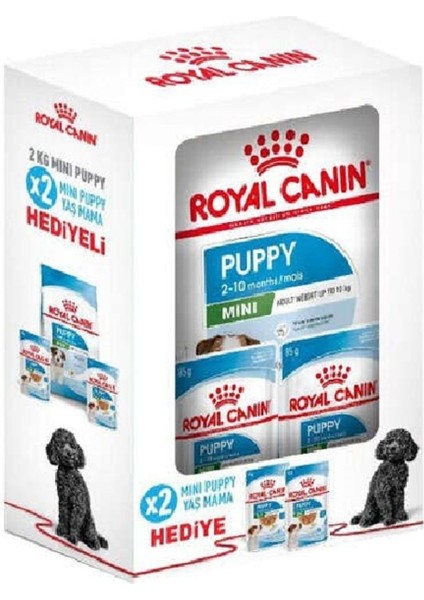 Box Mini Puppy Küçük Irk Yavru Köpek Maması 2 kg + 2 Adet Yaş Mama