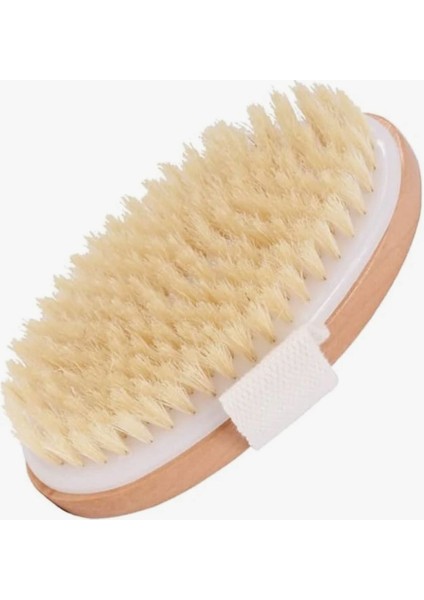 Doğal At Kılı Ele Geçirmeli Vücut Fırçası – Cilt Dostu, Masaj Etkili, Ölü Deri Temizleyici Banyo Fırçası