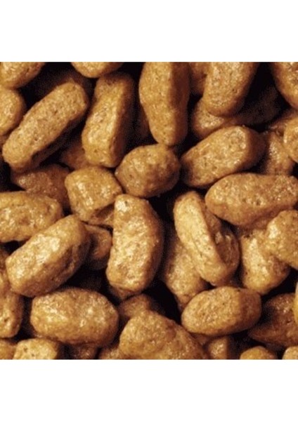 Proplan Sterilised Kısırlaştırılmış Somonlu Kedi Maması 10 kg fırsatları