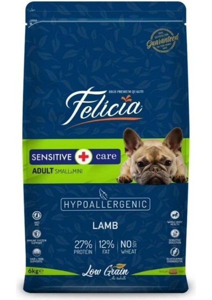 Düşük Tahıllı Hypoallergenic 3kg Felicia Small Mini Adult Kuzulu Yetişkin Köpek Maması
