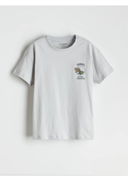 Lcw Kids Gri Bisiklet Yaka Dinozor Baskılı Erkek Çocuk Şortlu Pijama Takımı fiyatları