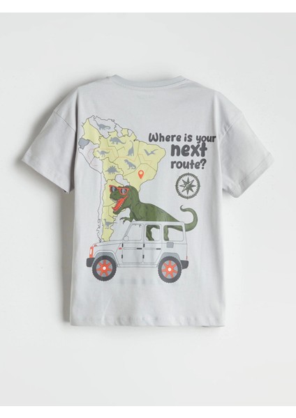 Lcw Kids Gri Bisiklet Yaka Dinozor Baskılı Erkek Çocuk Şortlu Pijama Takımı modelleri