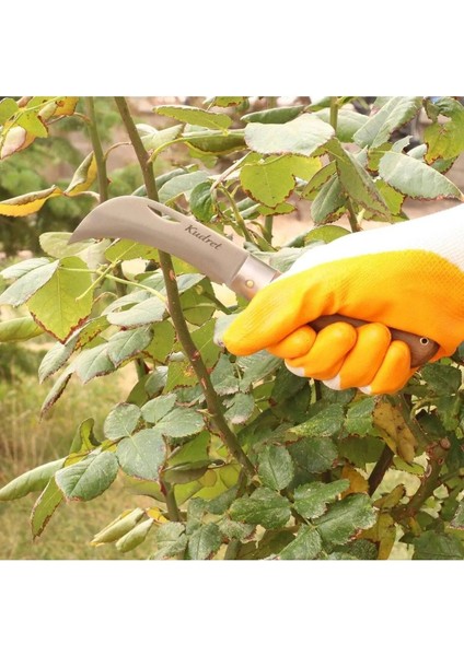 Aşı Bıçağı Eğri Uçlu Bağ Bıçağı Çakısı + Düz Uçlu Açı Bıçak + Aşı Bandı (3'lü Set). fiyatları