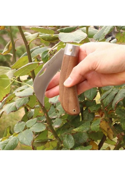 Aşı Bıçağı Eğri Uçlu Bağ Bıçağı Çakısı + Düz Uçlu Açı Bıçak + Aşı Bandı (3'lü Set). modelleri