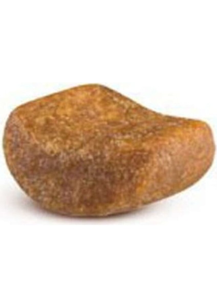 British Shorthair Yetişkin Kedi Maması 10 kg