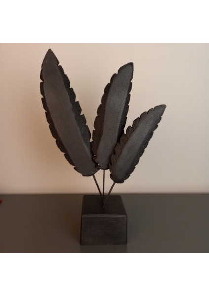 Aurora Feather – Lüks 3’lü Siyah Tüy Dekoratif Obje (33X23 Cm) indirimleri