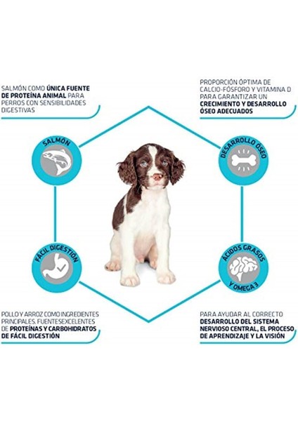 Puppy Sensitive Somon ve Pirinçli Yavru Köpek Maması 3 kg modelleri