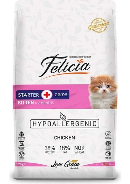 Kıtten Starter Care Chıcken 12 kg