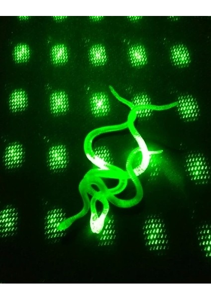 Şaka Yılan ve Kırkayak Karışık 36 Adet (5047) modelleri