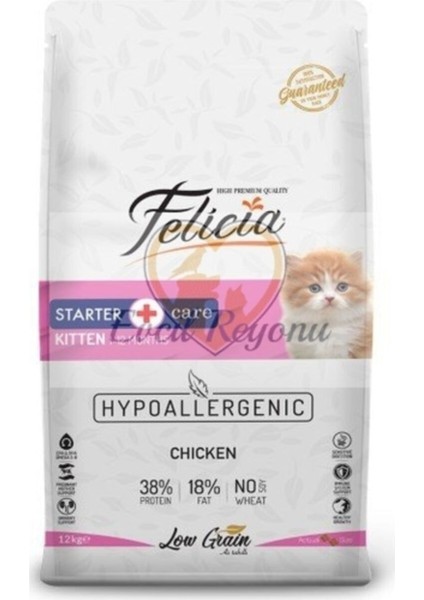 Kıtten Tavuklu 12 kg