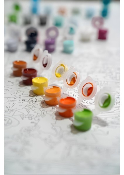 Sayılarla Boyama Seti Numaralı Tuval Fırça Boya Dahil Kasnaklı Set 50X70 cm - Işıklı Balon fırsatları