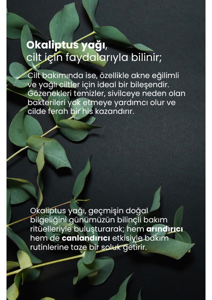 Okaliptus Yağı modelleri
