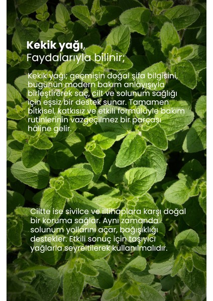 Kekik Yağı modelleri