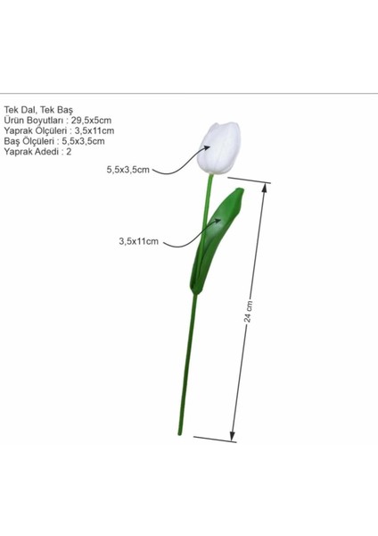 Yapay Islak 5 Li Beyaz Lale Ev Dekor Vazo Süsü modelleri