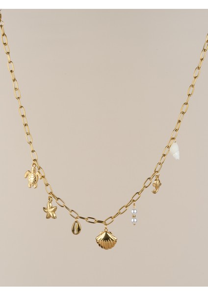 Oceana Deniz Kabuğu Kaplumbağa Charm Choker Çelik Kolye fiyatları