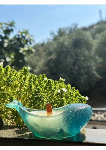 Balina Şeklinde El Yapımı Epoksi Mum – Ahşap Fitilli, Dekoratif & Yeniden Kullanılabilir (7X11,5CM)