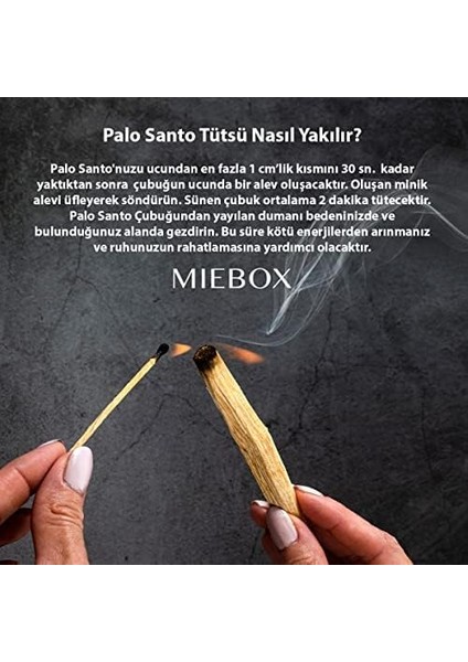 Palo Santo Maximus Wish Kit: 3 Palo Santo Tütsü ve Pecten Maximus Deniz Kabuğu Tütsülük fiyatları