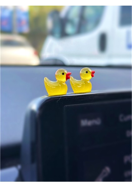 Karanlıkta Parlayan Mini Ördek (2ADET)