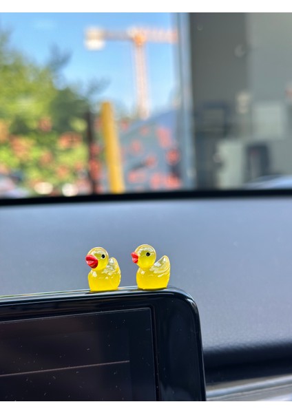 Karanlıkta Parlayan Mini Ördek (2ADET) modelleri