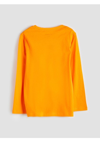 Bisiklet Yaka Erkek Çocuk Pijama Takımı (W5) fırsatları