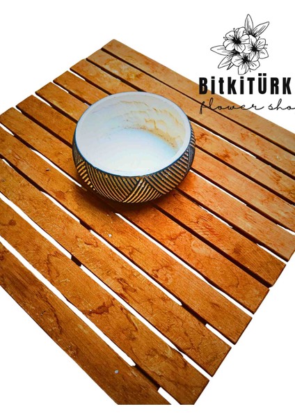 Özel Tasarım Beton Bonsai Saksısı modelleri