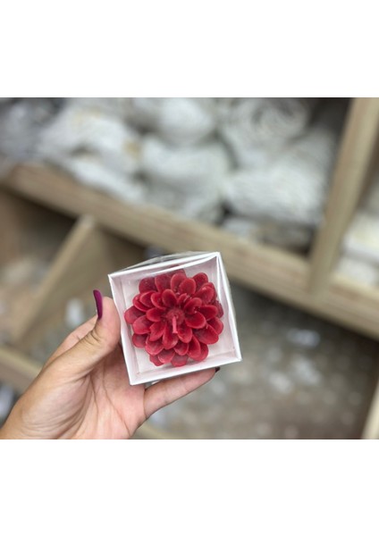 Lotus Mum Kırmızı Beyaz Kutulu 10'lu