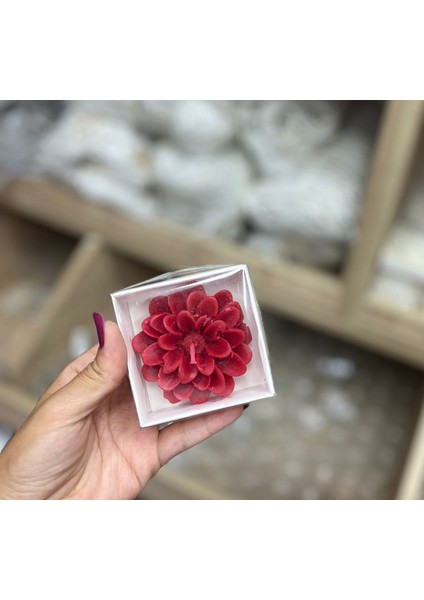 Lotus Mum Kırmızı Beyaz Kutulu 10'lu fiyatları