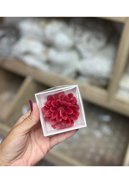 Lotus Mum Kırmızı Beyaz Kutulu 10'lu modelleri