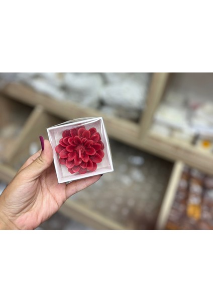 Lotus Mum Kırmızı Beyaz Kutulu 10'lu fırsatları