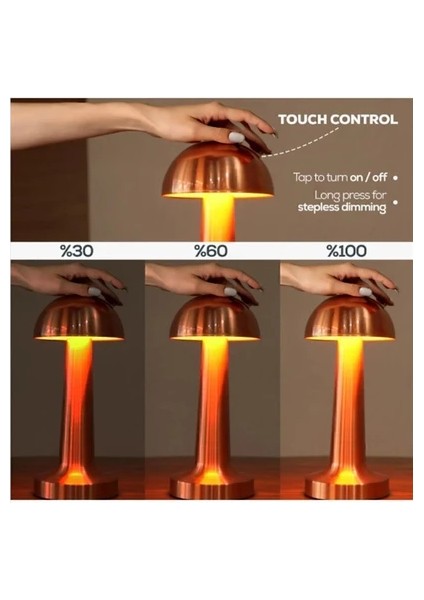 Lizbon Masa Lambası CT-8429