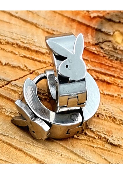 316 L Çelik Gümüş Renk Halka Unısex Küpe Çap 1 cm