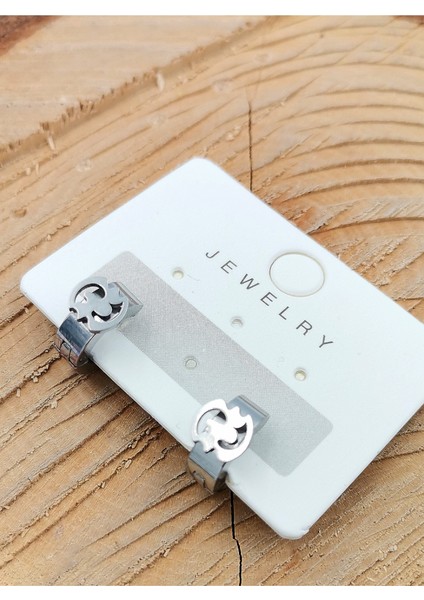 316 L Çelik Gümüş Renk Unısex Küpe Çap 1 cm