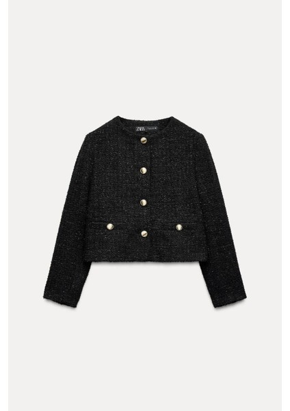 Allbucks Zara, Parıltılı Iplikli Dokulu Blazer ABZRA1085