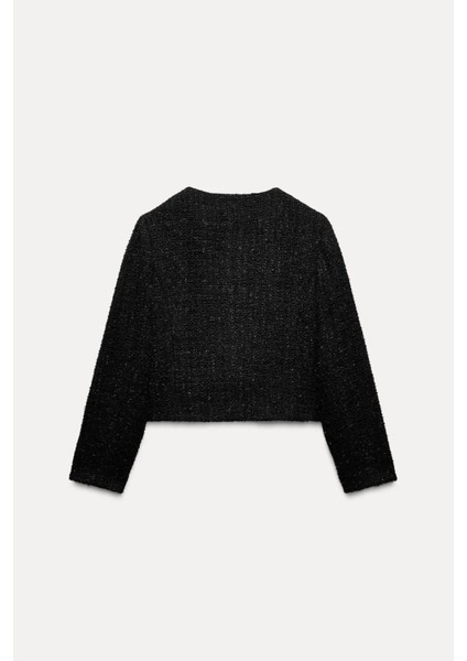 Allbucks Zara, Parıltılı Iplikli Dokulu Blazer ABZRA1085 modelleri