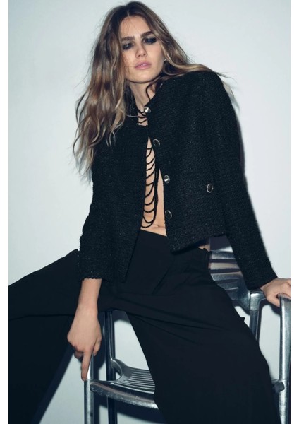 Allbucks Zara, Parıltılı Iplikli Dokulu Blazer ABZRA1085 indirimleri