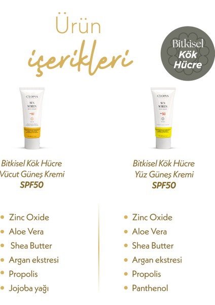 Güneş Bakım Seti Spf 50+ Uva & Uvb Koruma Bitkisel Kök Hücre Mineral Filtre Zinc Oxide fiyatları