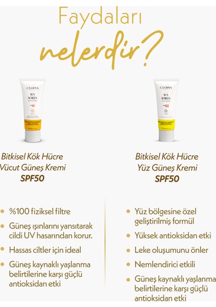 Güneş Bakım Seti Spf 50+ Uva & Uvb Koruma Bitkisel Kök Hücre Mineral Filtre Zinc Oxide modelleri