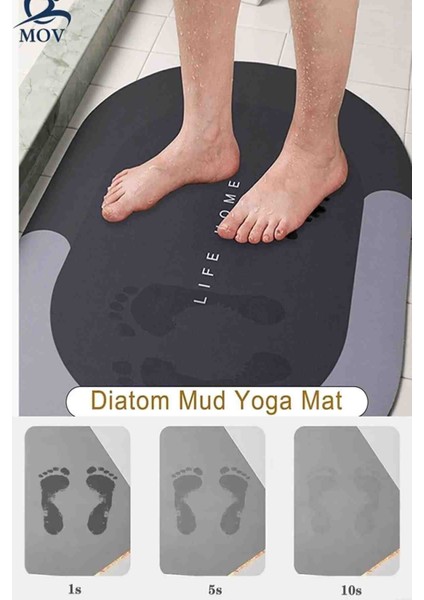 Su Emici Paspas Şık Tasarımı Kaymaz Taban Diyatom 40*60 cm Oval Paspas şık ve Modern modelleri